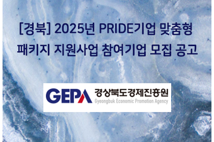 [경북] 2025년 PRIDE기업 맞춤형 패키지 지원사업 … | 아이젠텍 IGENTEC